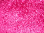 Fuschia Pink Mongolian Sheepskin